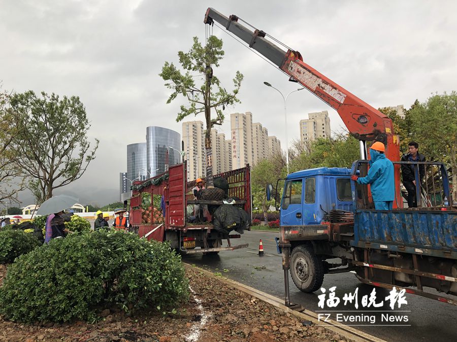 福州26条重点道路向彩化香化升级