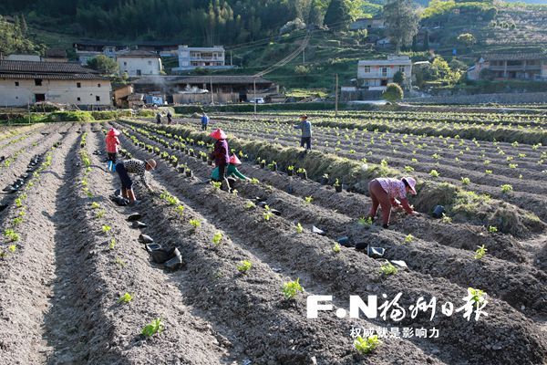 40天！闽侯“绣山花谷”项目横空出世